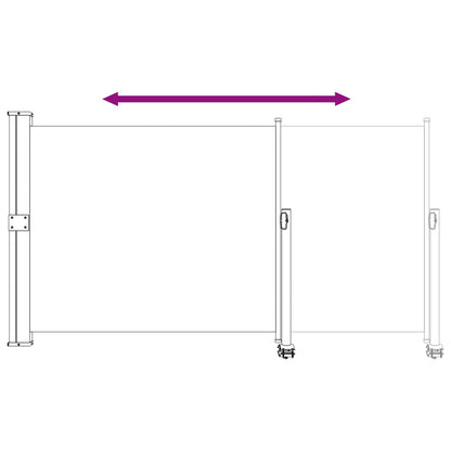 Tenda laterale Antracite 300 x 160 cm | homemem39