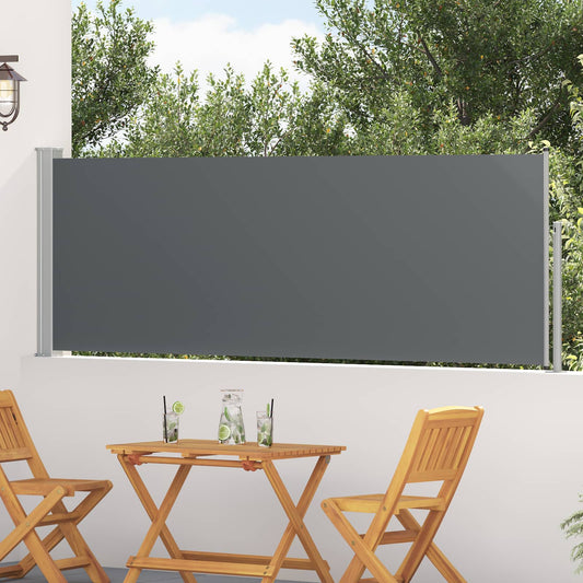 Tenda laterale retrattile Antracite 300 x 100 cm Poliestere | homemem39