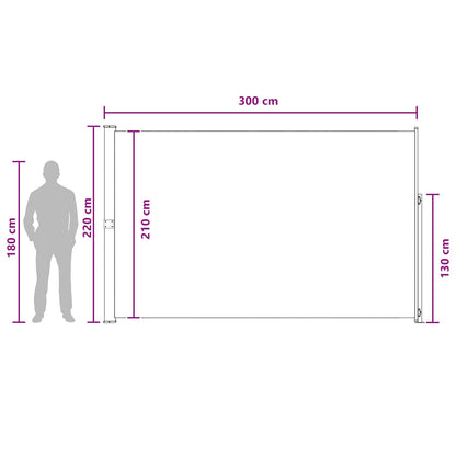 Tenda laterale retrattile Antracite 300 x 220 cm Poliestere | homemem39
