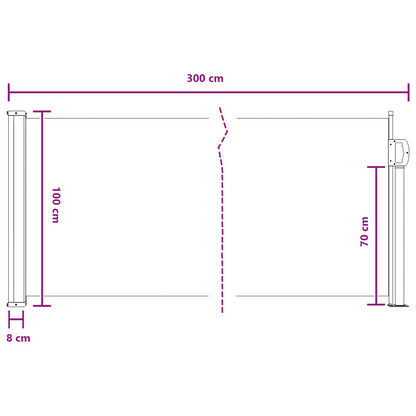 Tenda laterale retrattile Grigio 300 x 100 cm Poliestere | homemem39