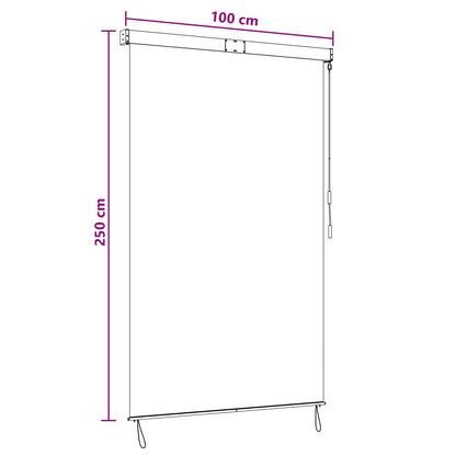 Tenda a rullo Grigio Chiaro 100 x 250 cm Tessuto e Alluminio | homemem39