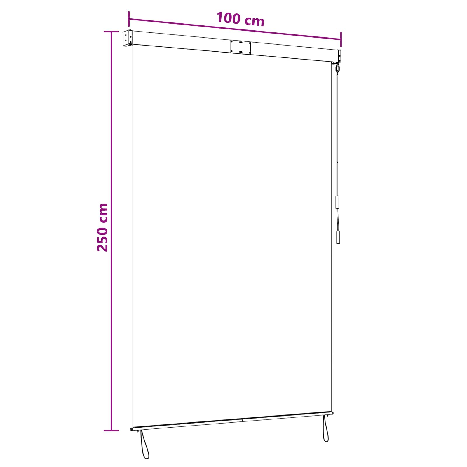 Tenda a rullo Grigio Chiaro 100 x 250 cm Tessuto e Alluminio | homemem39