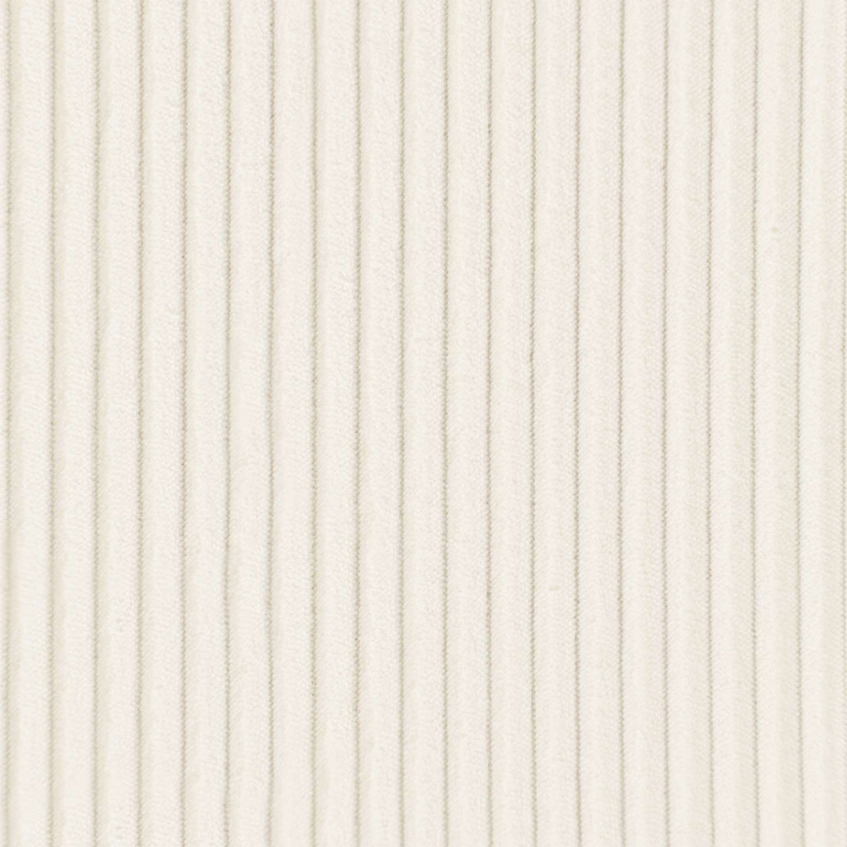 Federa 6 pcs ALMELO Crema 30 x 50 cm corduroy | homemem39