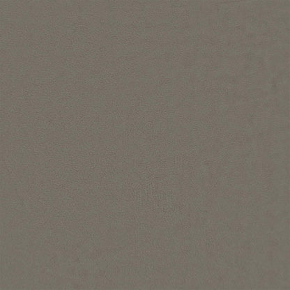 Federa 2 pcs HOUTEN Grigio Chiaro 70 x 70 cm Velluto