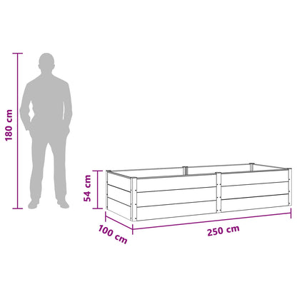 Letto rialzato da giardino Nero 250 x 100 x 54 cm | homemem39