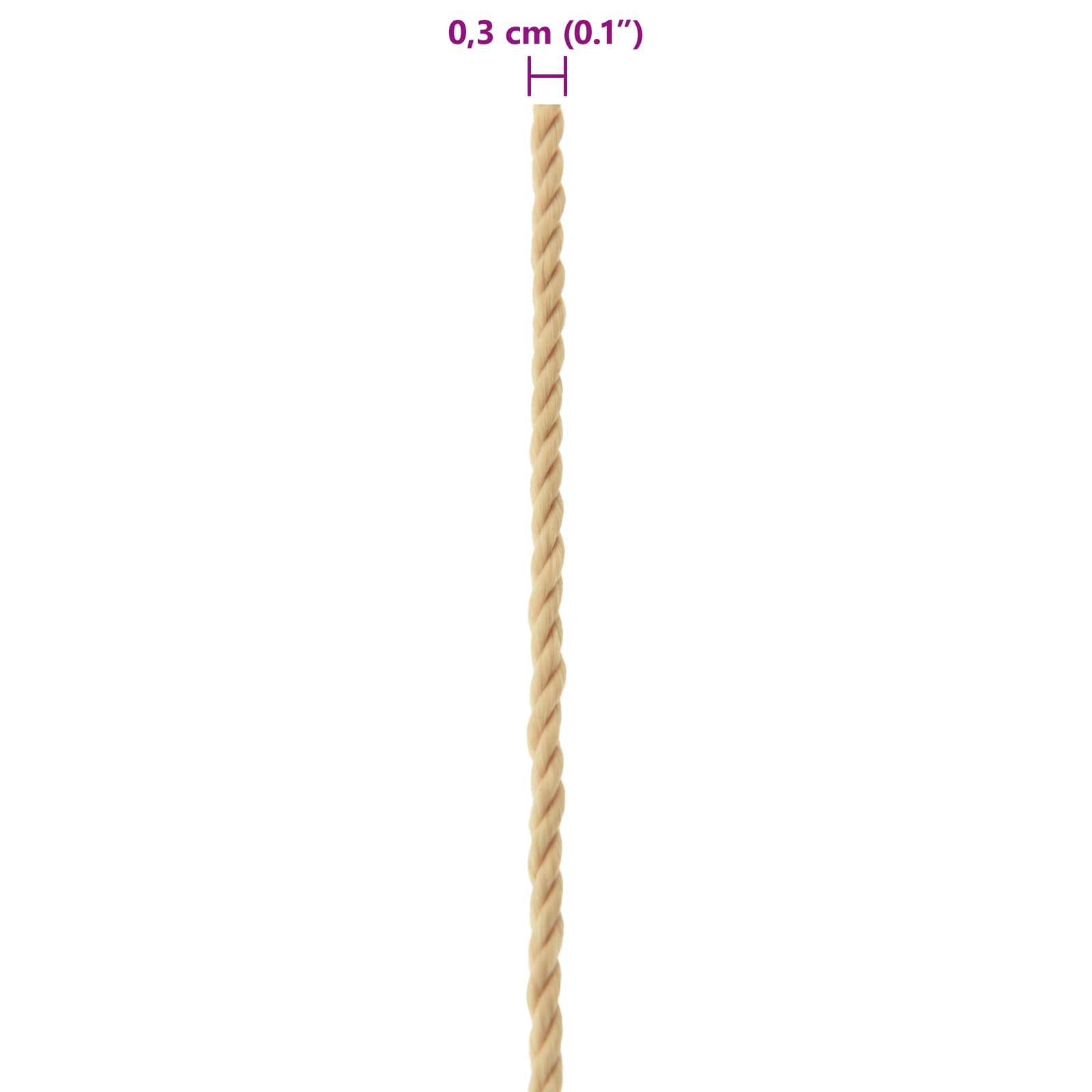 Corda da Barca 100 m 0.3 Naturale PP | homemem39
