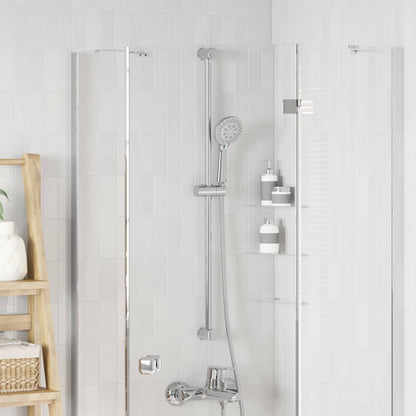 Supporto per Testa di Doccia Cromato 101 cm Acciaio Inox