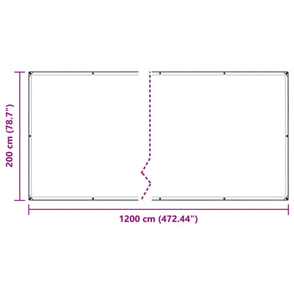 Copertura per Piante Trasparente 2 x 12 m PE | homemem39