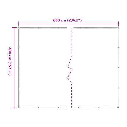 Copertura per Piante Trasparente 4 x 6 m PE | homemem39