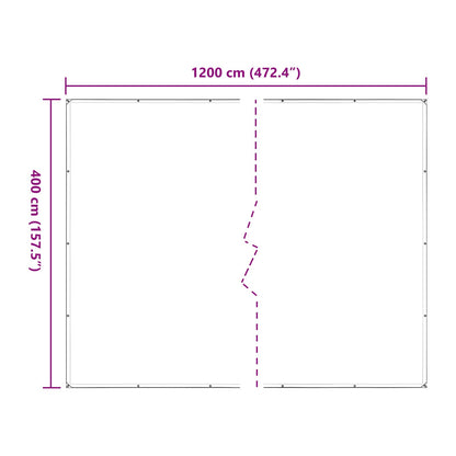 Copertura per Piante Trasparente 4 x 12 m PE