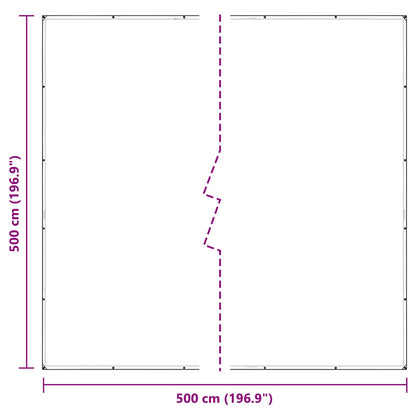 Telo con Occhielli Trasparente 5 x 5 m Polietilene | homemem39