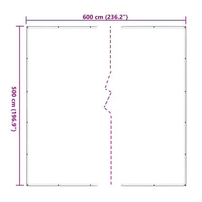 Copertura per Piante Trasparente 5 x 6 m PE