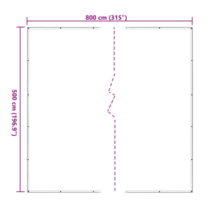 Copertura per Piante Trasparente 5 x 8 m PE