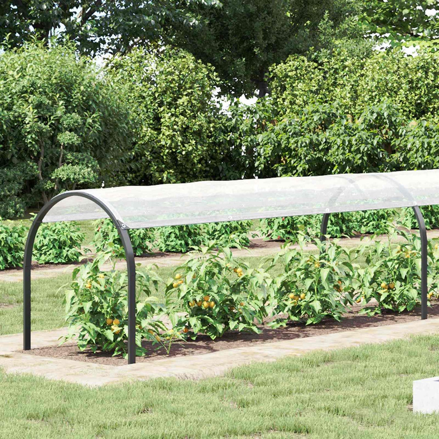 Telo con Occhielli Trasparente 10 x 1,5 m Polietilene