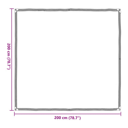Copertura per Piante Trasparente 2 x 2 m PE
