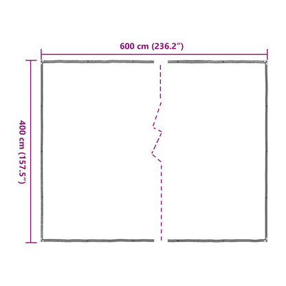 Copertura per Piante Trasparente 4 x 6 m PE | homemem39