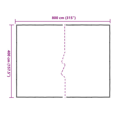 Copertura per Piante Trasparente 4 x 8 m PE | homemem39