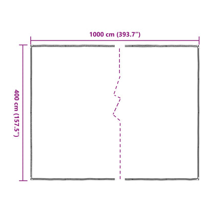 Copertura per Piante Trasparente 4 x 10 m PE | homemem39