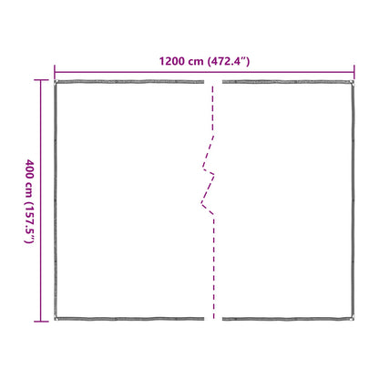 Copertura per Piante Trasparente 4 x 12 m PE