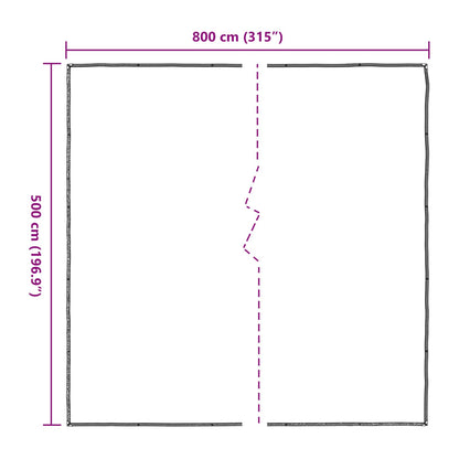 Copertura per Piante Trasparente 5 x 8 m PE | homemem39