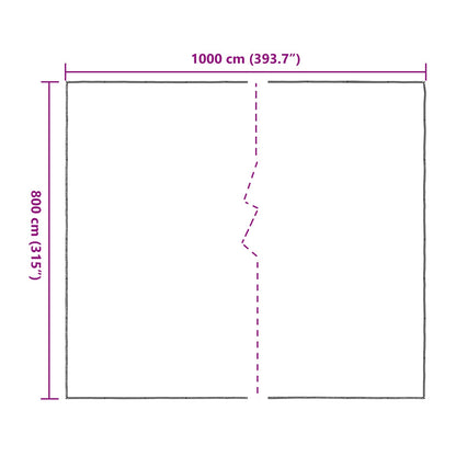 Copertura per Piante Trasparente 8 x 10 m PE