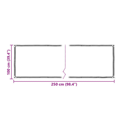 Copertura per Piante Trasparente 2,5 x 1 m PE