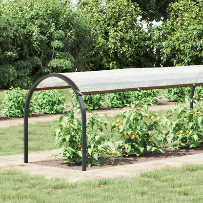 Copertura per Piante Trasparente 6 x 1,5 m PE