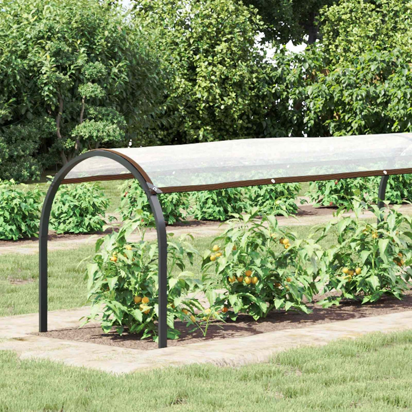 Copertura per Piante Trasparente 10 x 1,5 m PE | homemem39