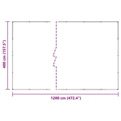 Copertura per Piante Trasparente 4 x 12 m PVC | homemem39