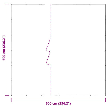 Copertura per Piante Trasparente 6 x 6 m PVC | homemem39