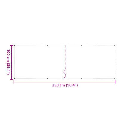 Copertura per Piante Trasparente 2,5 x 1 m PVC | homemem39