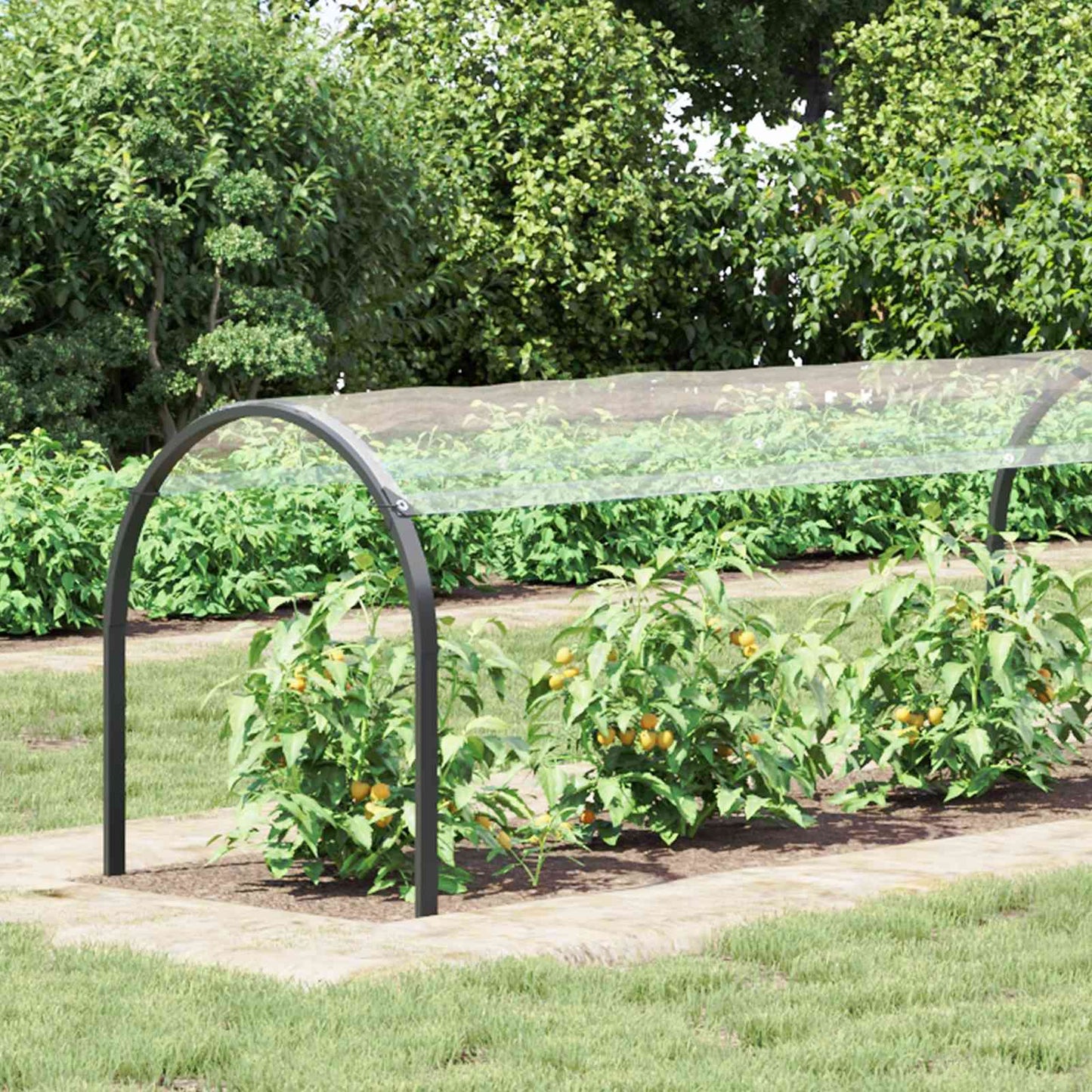 Copertura per Piante Trasparente 10 x 1,5 m PVC | homemem39
