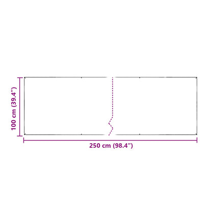 Tarp Trasparente 2,5 x 1 m PE | homemem39