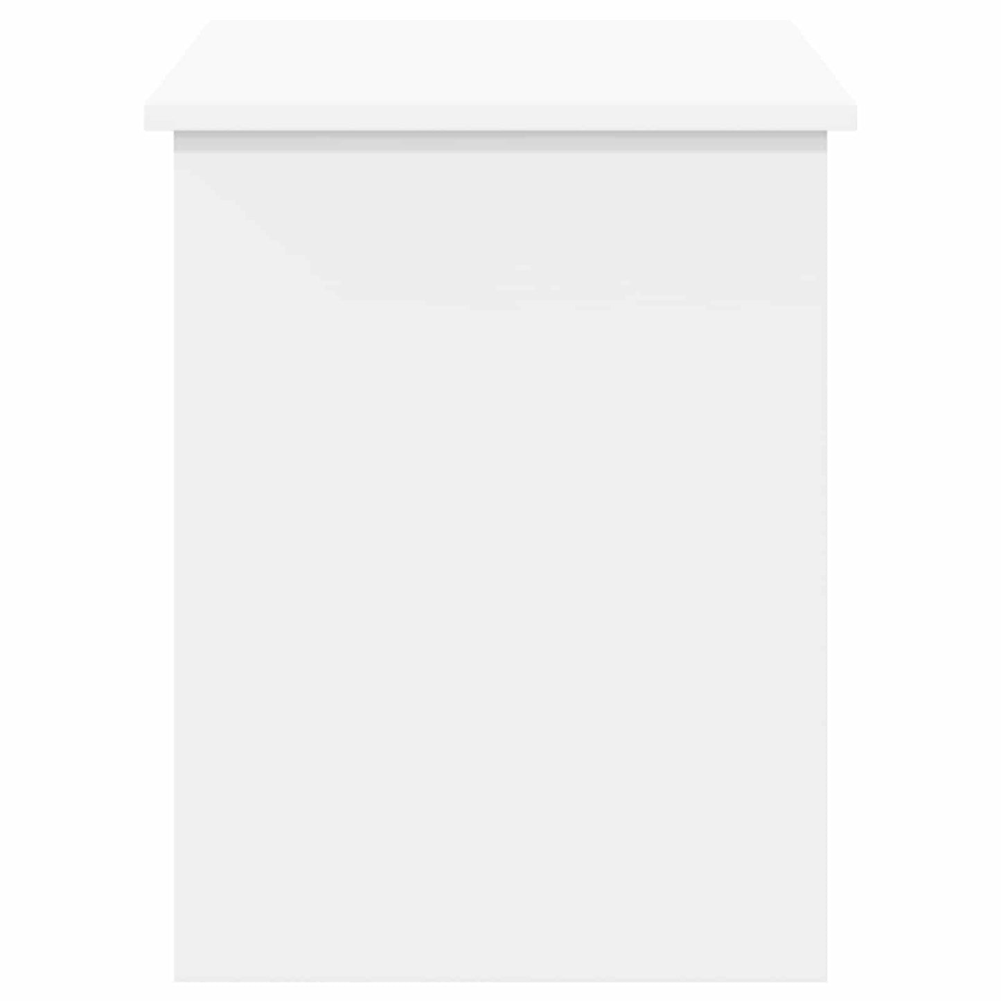 Cassa di stoccaggio con archiviazione Bianco 100 x 40 x 50 cm | homemem39