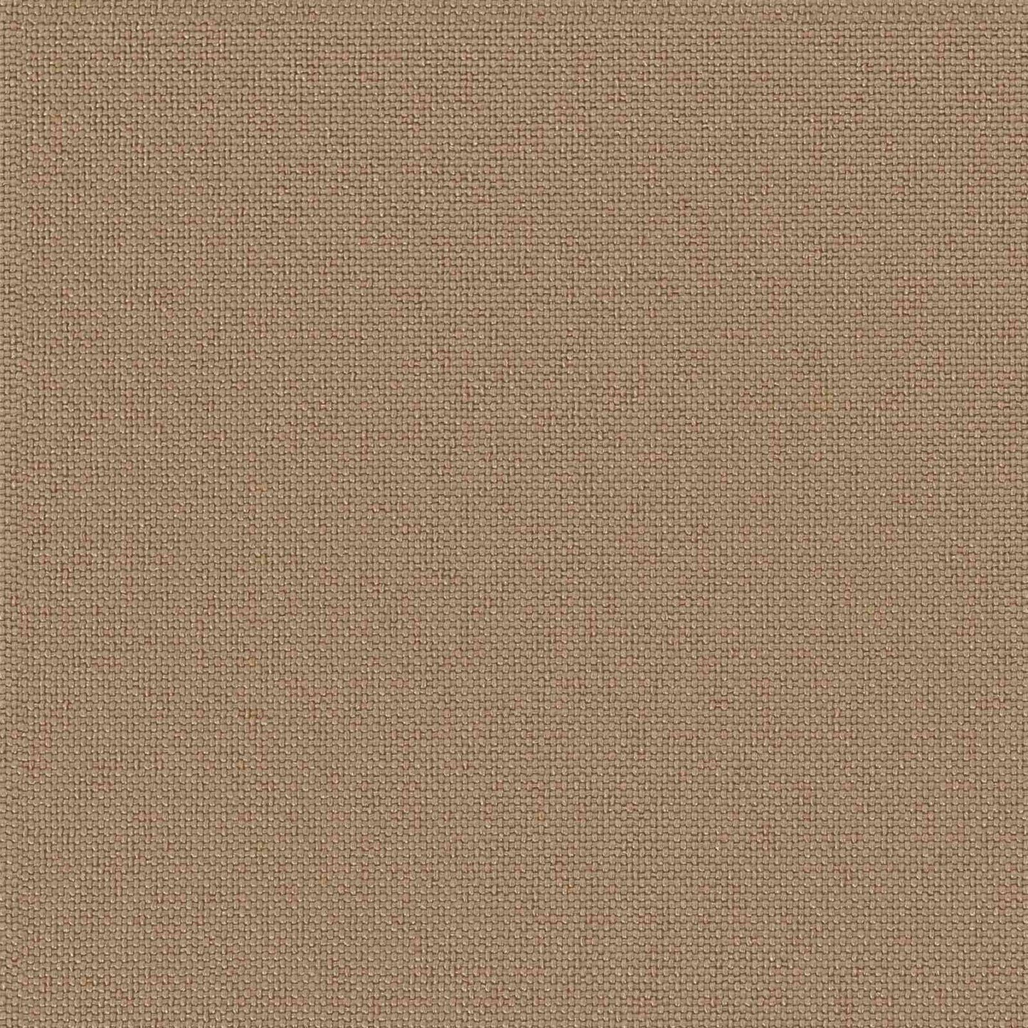 Poltrona a 1 Posto con Cuscino Aspetto Rattan PP Antracite | homemem39