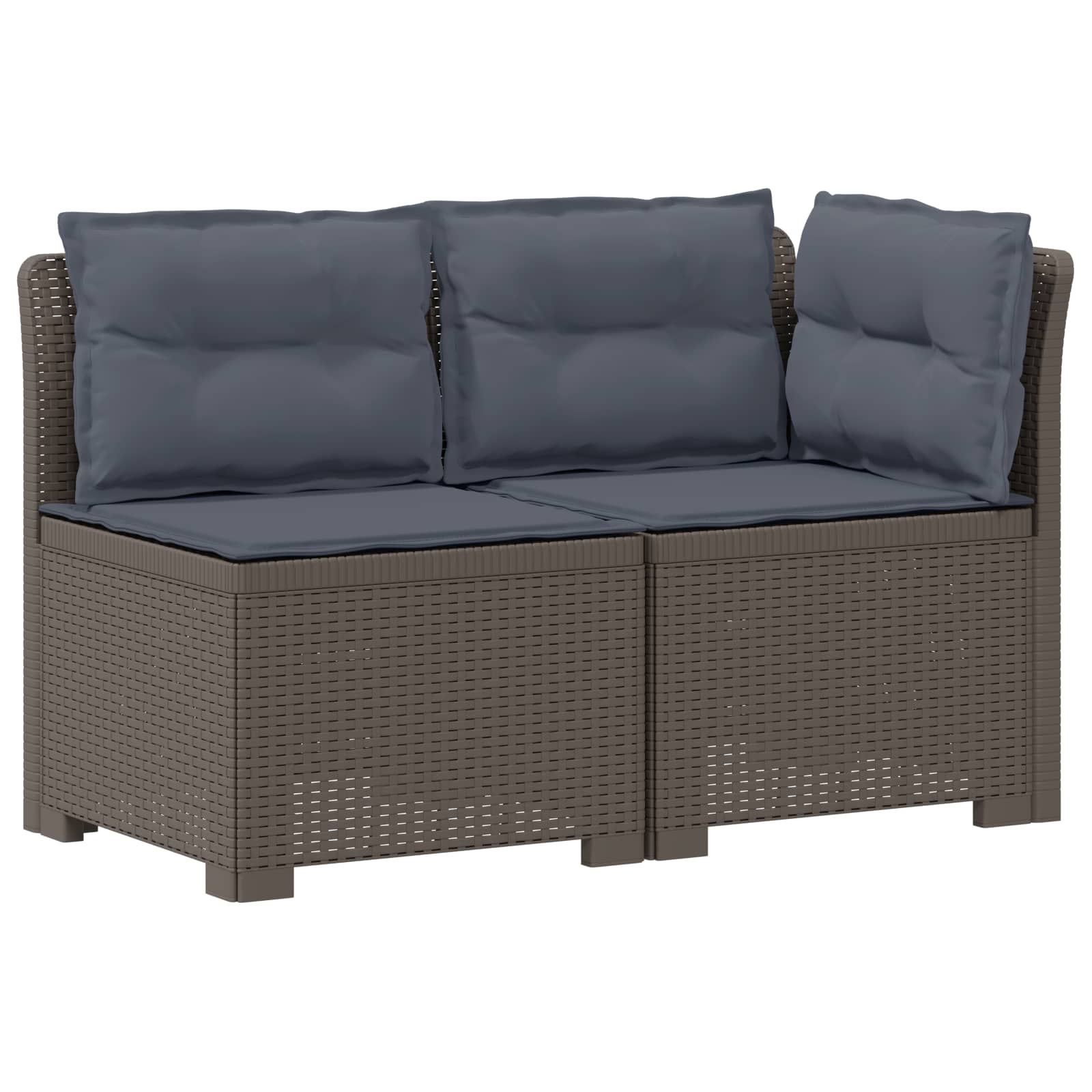 Divano da Giardino a 2 Posti con Cuscini Aspetto Rattan PP | homemem39