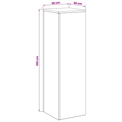 Supporto per piante 2 pcs Ruggine 30 x 30 x 100 cm | homemem39