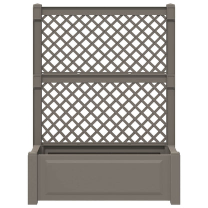Vaso Grande con Direzione Grigio 99,5 x 43 x 133,5 cm PP | homemem39