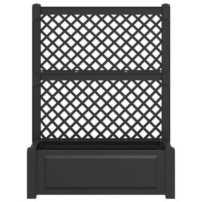 Vaso Grande con Direzione 2 pcs Antracite 143 x 143 x 133,5 cm | homemem39