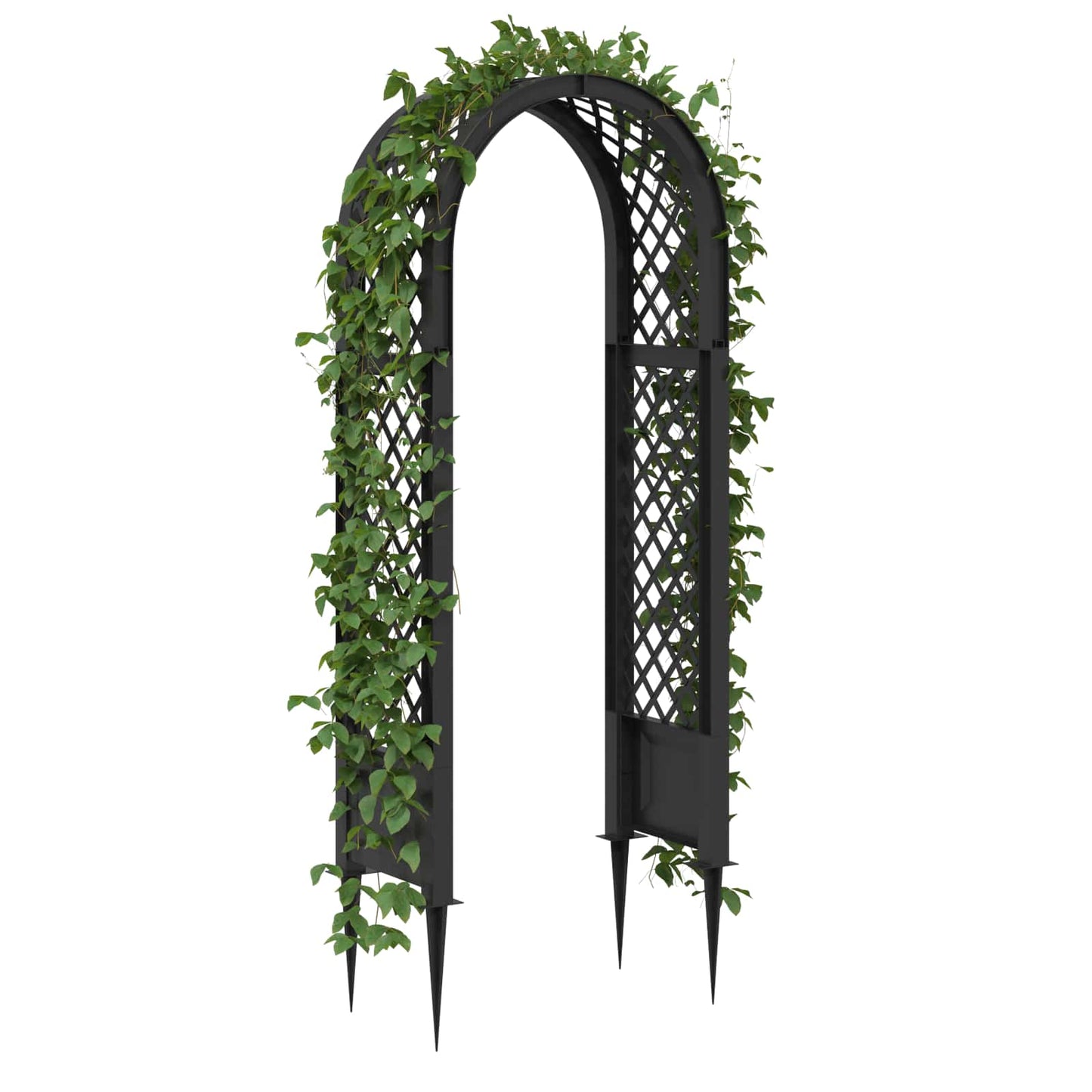 Arco di rose con punte Antracite 97 x 43 x 218 cm PP | homemem39