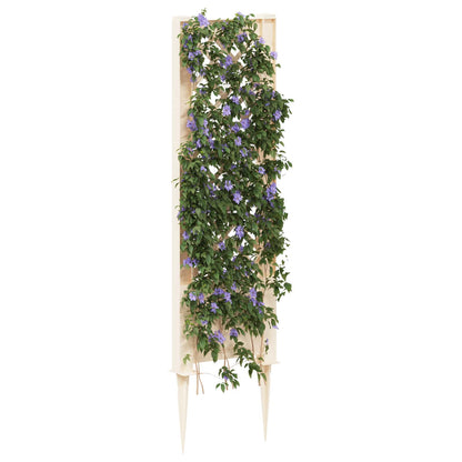 Trellis con Punta Bianco 43 x 6 x 165 cm PP | homemem39