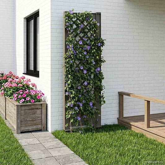 Trellis con Punta Grigio 43 x 6 x 165 cm PP | homemem39