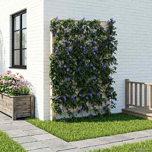 Trellis con Punta Bianco 99 x 6 x 165 cm PP | homemem39