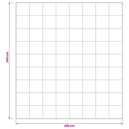 Piumone TRIER 220x240 cm 4 stagioni 220 GSM Bianco | homemem39