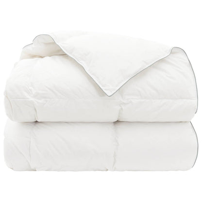 Piumone FULDA 220 x 240 cm Inverno 300 GSM 90% piuma d'oca | homemem39