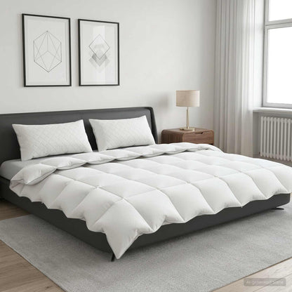 Piumone FULDA 220 x 260 cm Inverno 300 GSM 90% piuma d'oca