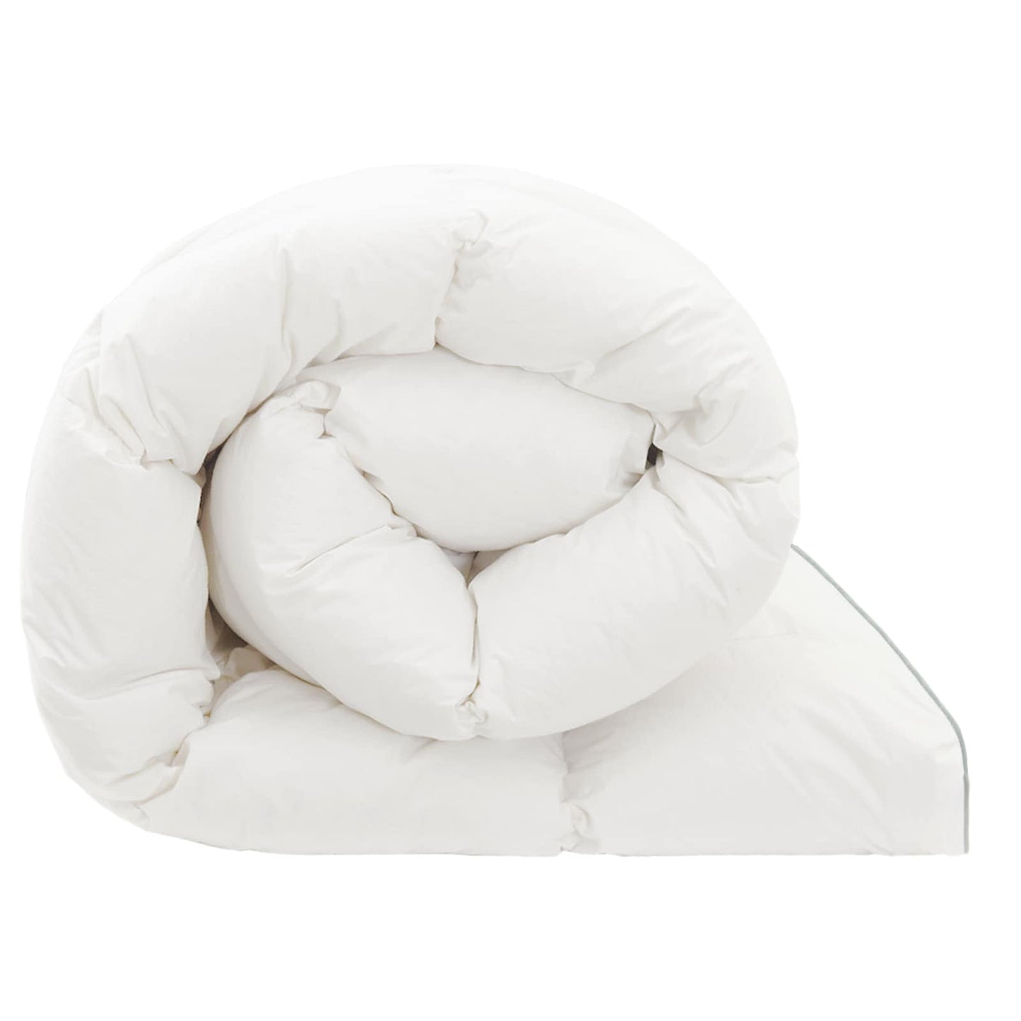Piumone FULDA 220 x 260 cm Inverno 300 GSM 90% piuma d'oca | homemem39