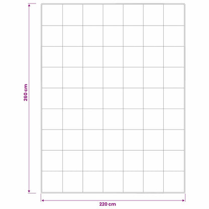 Piumone FULDA 220 x 260 cm Inverno 300 GSM 90% piuma d'oca | homemem39
