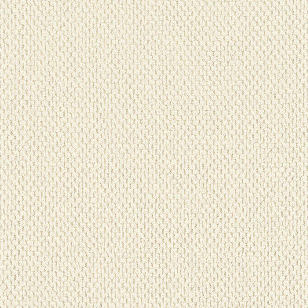 Sedia d'accento Crema Velluto a grana fine