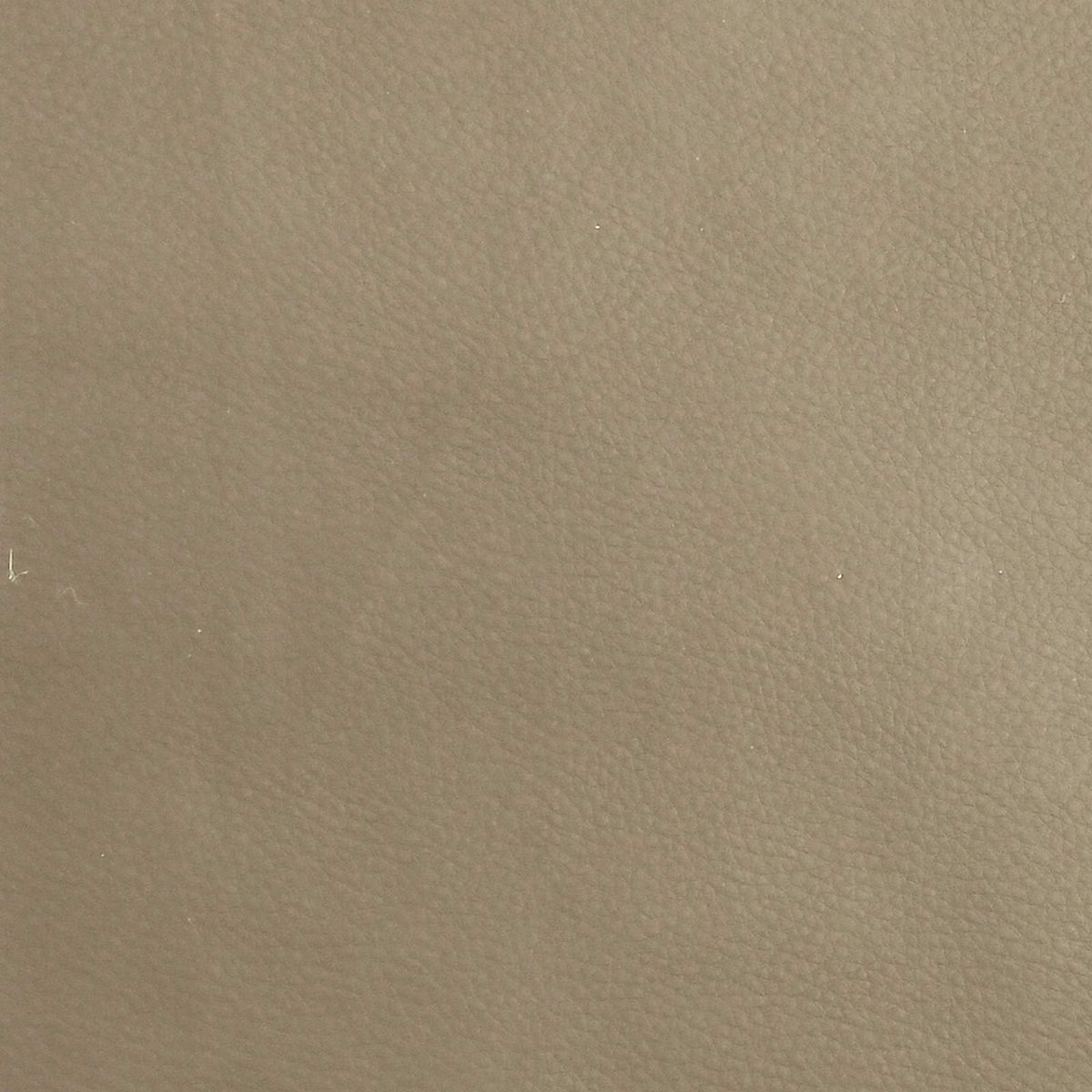 Testiera da Parete 12 pz Cappuccino Pelle Sintetica